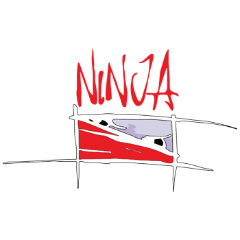 ninjatheory logo